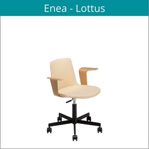 Enea - Lottus